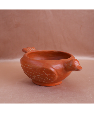 Pato Salsero de la Costa