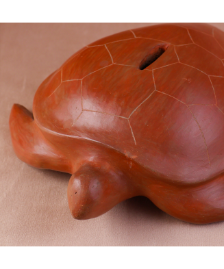 Tortuga Alcancía de la Costa