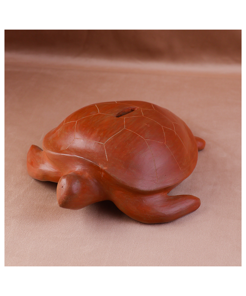 Tortuga Alcancía de la Costa