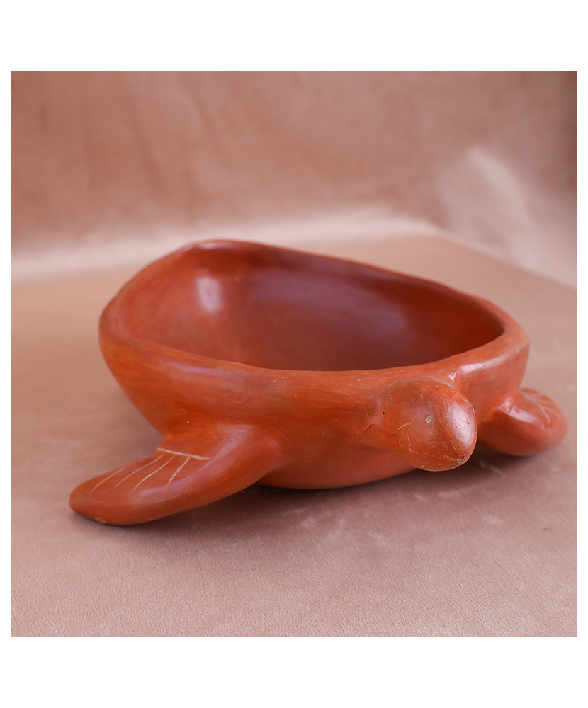 Tortuga Salsera de la Costa