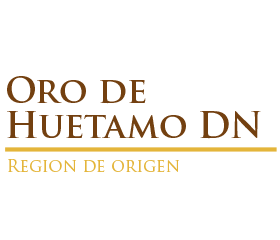 Oro de Huetamo